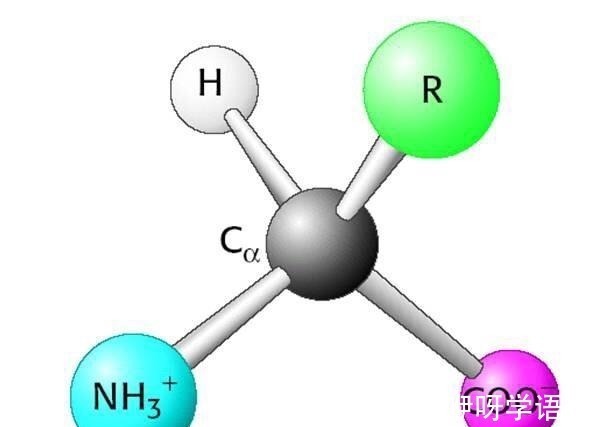 洗面奶 护肤第1步，洗面奶到底应该怎么选选错可能“烂脸”哦！