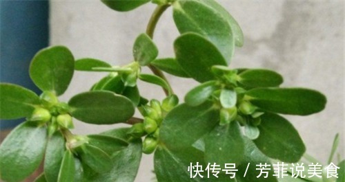 消脂|女性想爱美,不防多吃3种食物,排毒消脂,美容养颜,祛除湿气