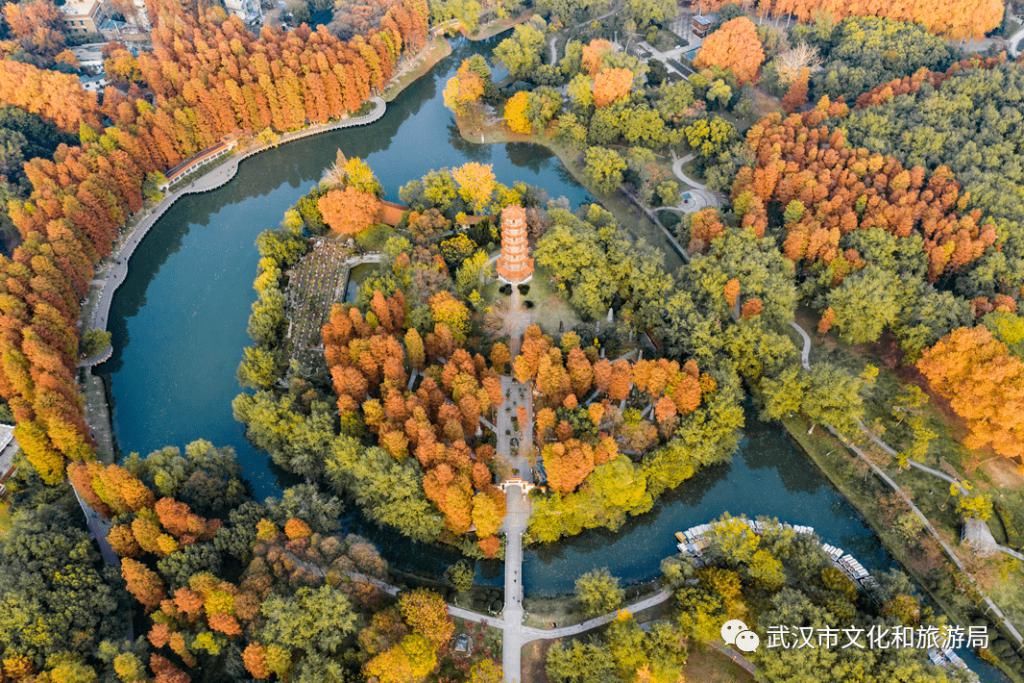 上图片取景|武汉冬景，才不是你想的那样！