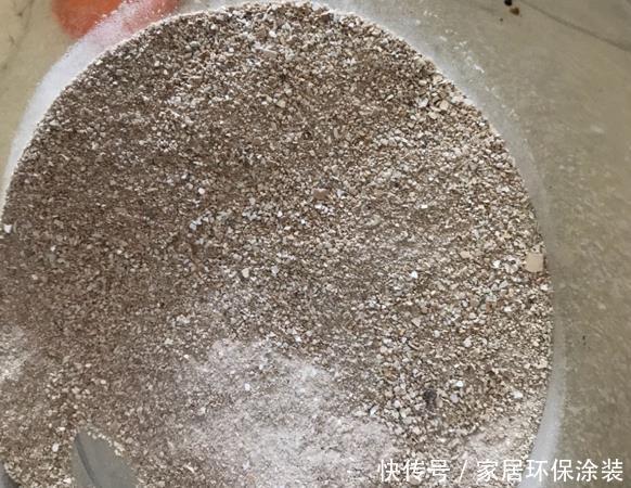 鸡蛋戳个洞,埋盆里1年不用施肥,三角梅疯狂开花