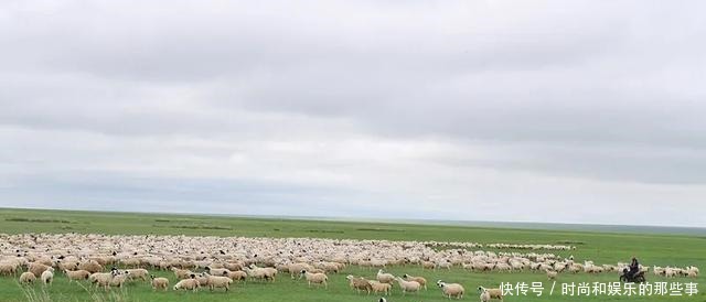 这片草原有你熟悉和向往的味道！这片草原有你熟悉和向往的味道！
