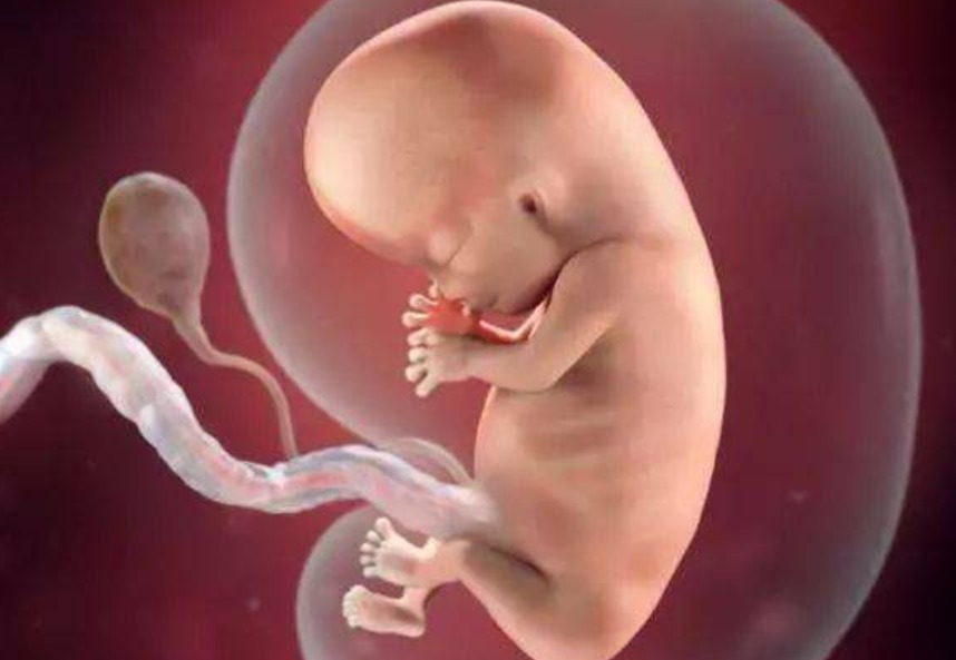 营养均衡|每个孩子有4次身高增长黄金期,为了娃着想,父母至少要抓住一个