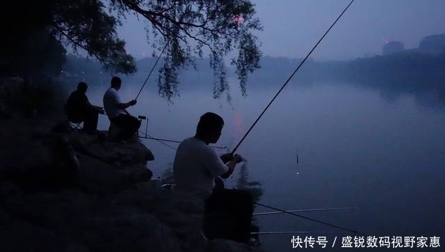 垂钓|夜钓八一水库,渔获远超同伴,我是怎么做到的?