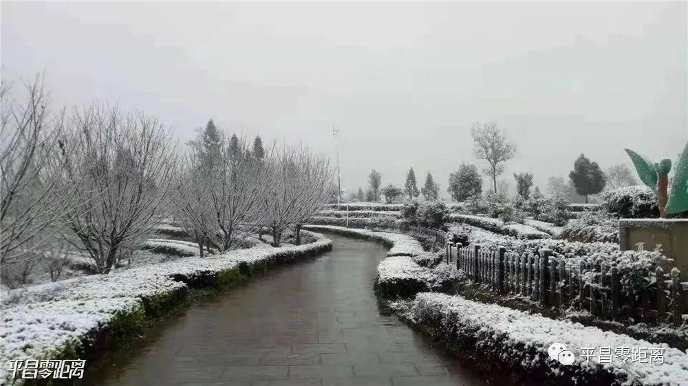 朋友圈|平昌下雪了，照片刷爆朋友圈！却带来了一个坏消息....