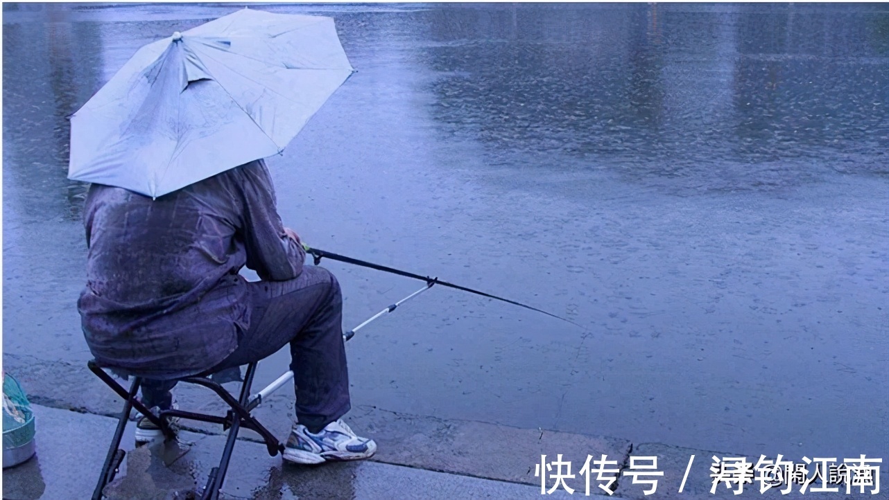 觅食|为何你在秋天钓不到鱼?别人却收获满满,原来是你忽视了天气因素