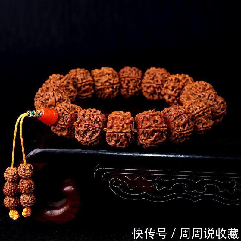 关于金刚菩提经常会被网友问到,却又真的很难回答的几个问题