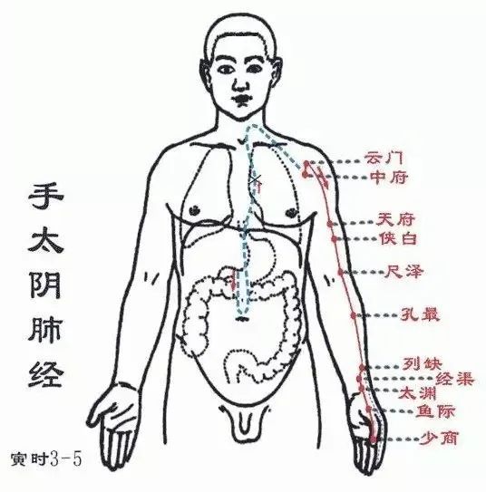 病气|手上有一个很灵的止咳点，5分钟见效