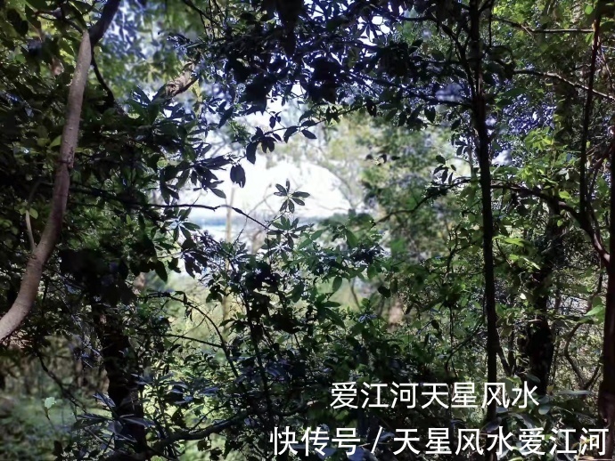 祖地|天星风水爱江河考证叫岩汪尚书祖地