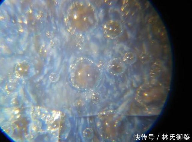 宋代五大名窑,你还是官窑、哥窑不分?