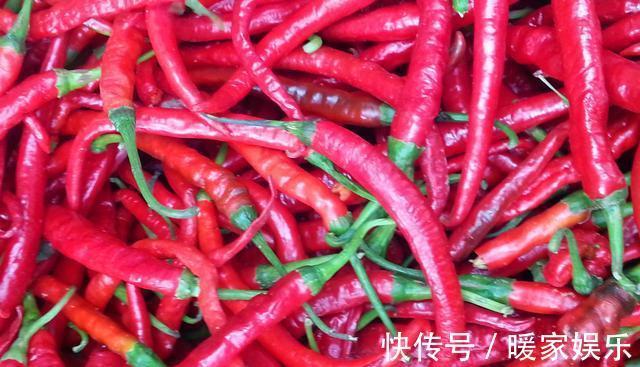 二荆条辣椒5种最好吃的做法,简单美味又过瘾,看看你喜欢吃不