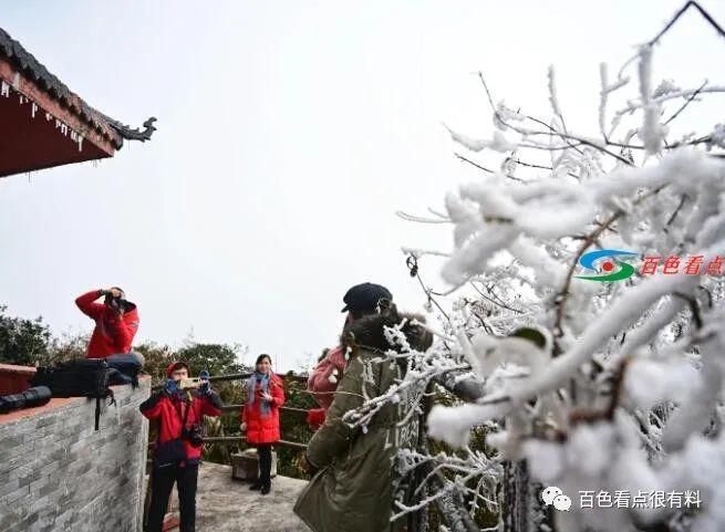 田林|当原始森林遇上雾凇，百色田林岑王老山会有怎样的景色？