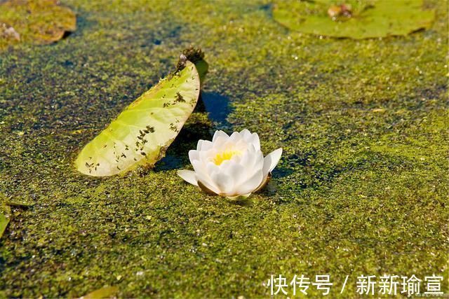 官爵#言轻莫劝人,杜牧一首很贴心的诗,结果却惹恼了薛涛