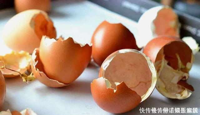 花卉|茉莉、三角梅开得旺,土里两种花肥很重要,添一点就有明显效果