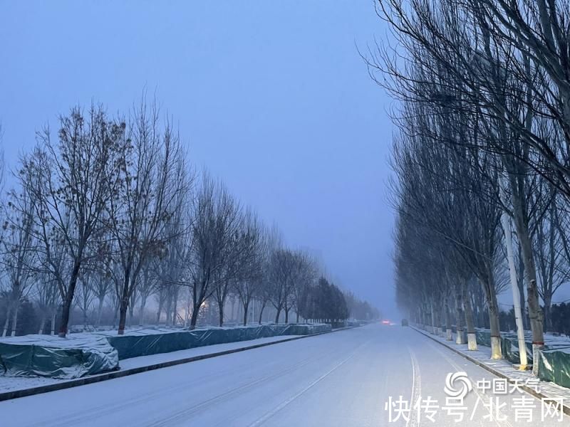 雪花|北京迎虎年首场雪 雪花纷飞银装素裹