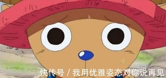 战斗力|海贼宁愿扔都不吃的恶魔果实!能力者就是受害者,第3个最可怜