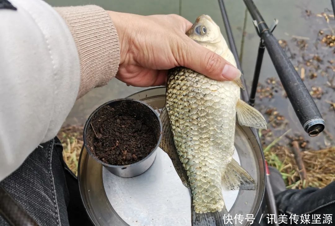 窝子|新钓位难聚鱼?许多人在开发新钓位时少做了一步,难怪钓不到鱼