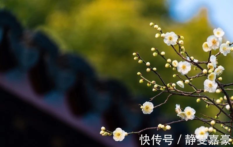 处世$曾国藩的处世智慧:德以满而损,福以骄而减!建议多读几遍