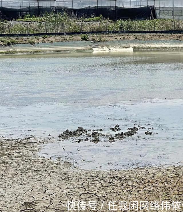 降落 一声巨响！浙江鱼塘上空掉下不明物体，挖了近2米深还未找到