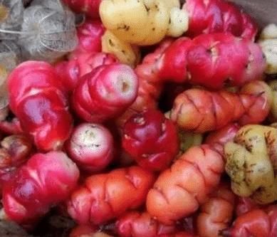 彩色|朋友快递来的“小萝卜”,打开一看像彩色毛毛虫,尝一口愣住了