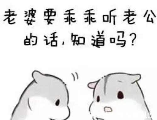 |幽默笑话：今天接到驾校电话说老婆开车撞墙了 让我带钱去医院。