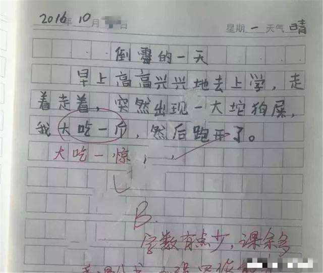 |小学生作文乱用成语,个个都是“段子手”,老师看了哭笑不得