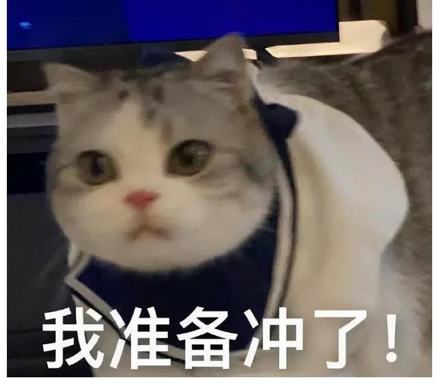 《時光音樂會》、《我們的歌3》，寶藏音綜你更愛哪一款？