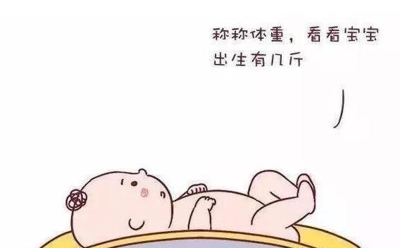 宝宝们|宝宝出生后的10几分钟里,都在做些什么原来他比妈妈还忙