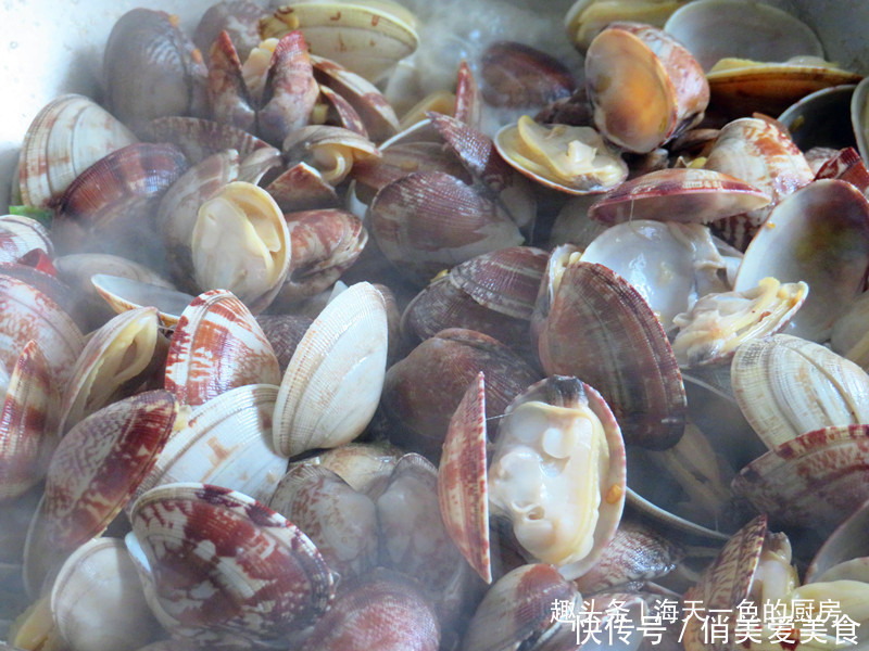  营养|想吃花蛤自己做，10块钱炒一盘，比外面实惠多了，不牙碜有营养！