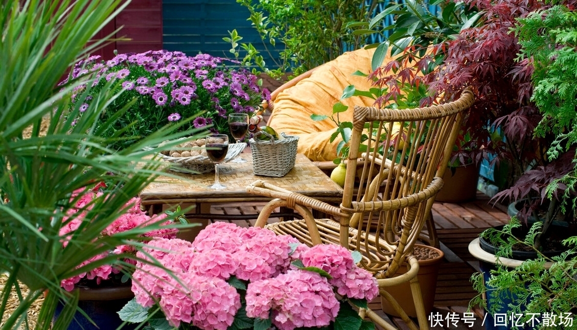 为了一盆花，家人关系彻底破裂，花有什么错？