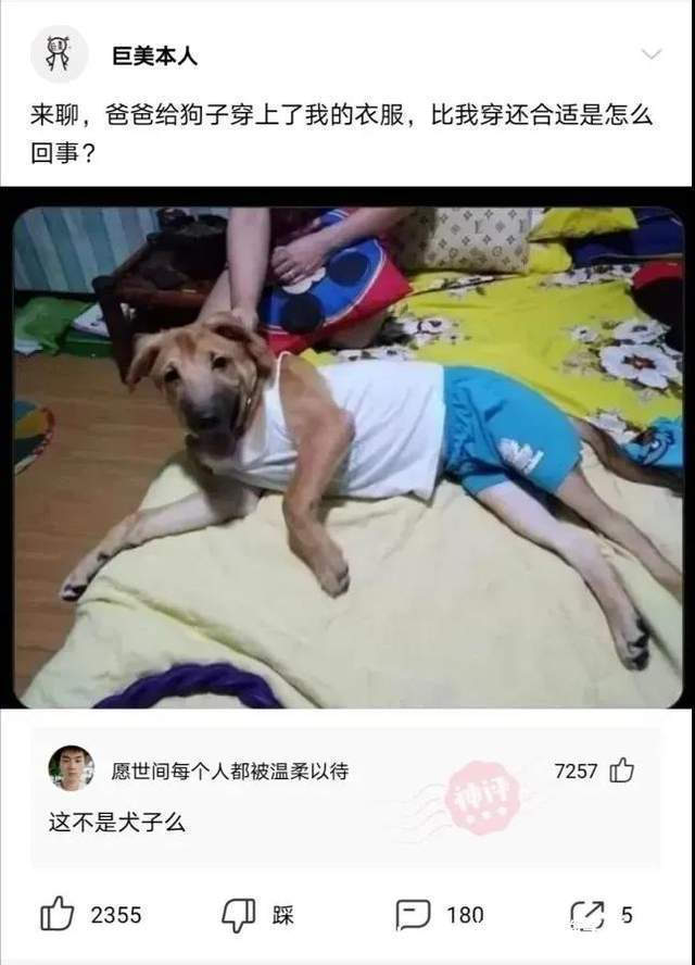 |神评段子合集：看高情商如何回复