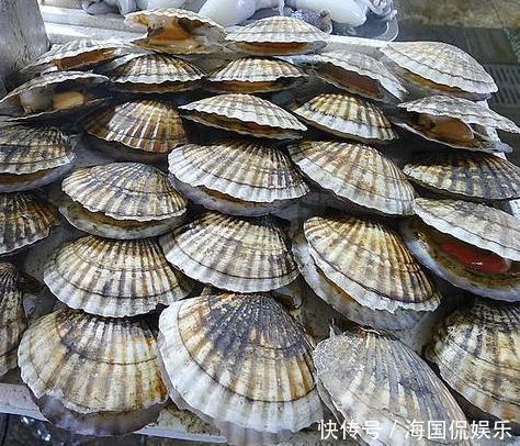 吃海鲜也要讲究“时令”，老渔民不会告诉你的海鲜日历，请收好