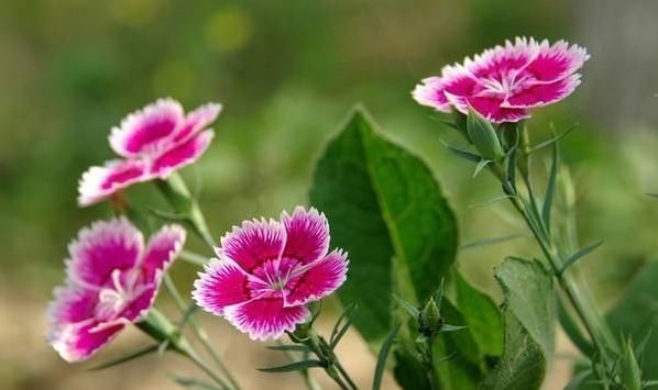 父母|孩子以后能否成大器,和成绩无关,这3句话点醒无数父母