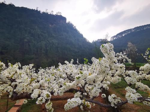 老年|来四川眉山，游幸福古村