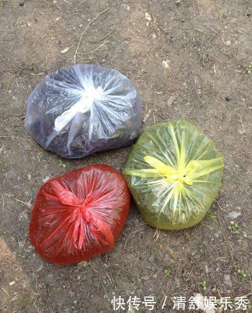 腐叶土|3种“碎渣渣”,是养花的好材料,掺土里花儿蹭蹭长,开爆盆!