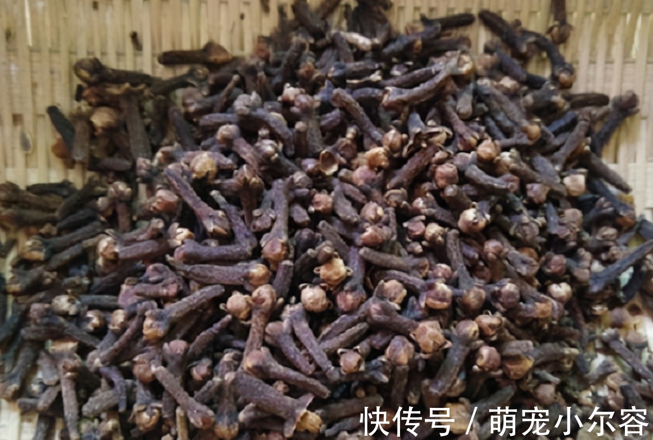 调料|在家卤肉，调料没必要放太多，牢记“4味料”就足够，又香又入味