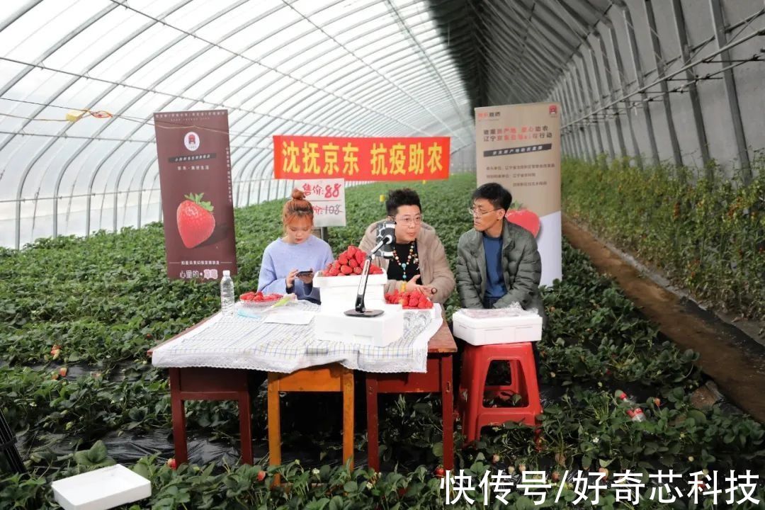 营收|领先阿里1244亿，京东成中国第二民企，计划培育1000万农村电商人