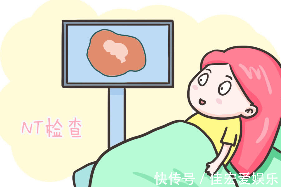 nt|nt单子上有男女标志是真的吗