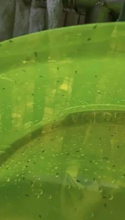 紧急提醒！近期尽量别穿这种颜色的衣服出门！