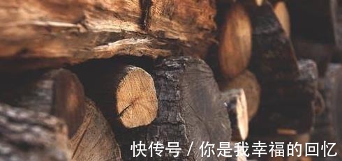 樟子松|买实木家具什么木材好越不知道越要搞懂这几点，闭眼也能挑好的