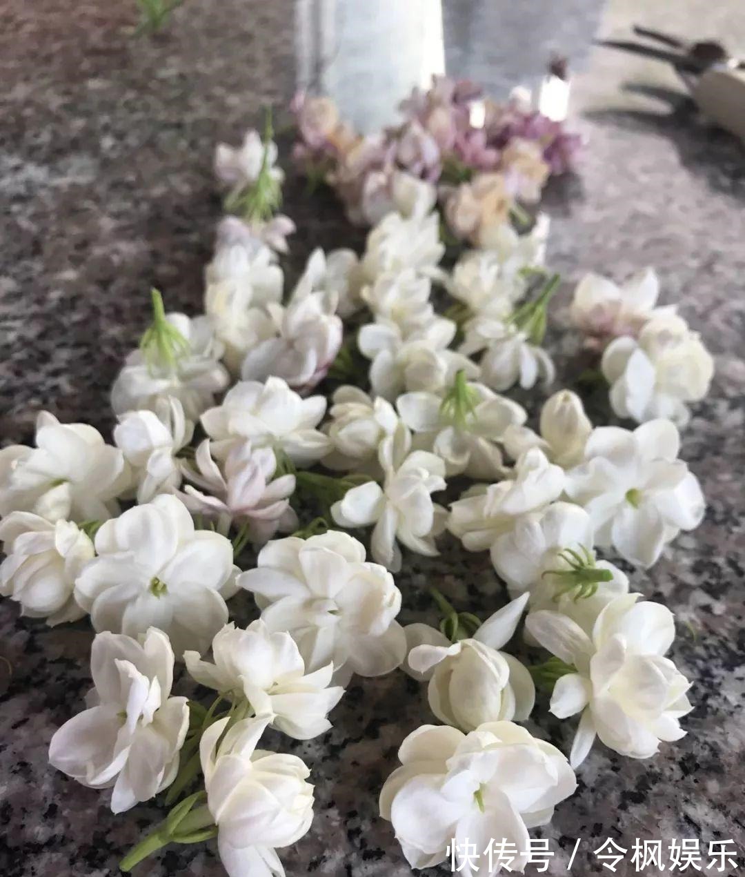 老中医最爱的8种花,一盆堪比小药箱,摘片叶子就能泡水喝!