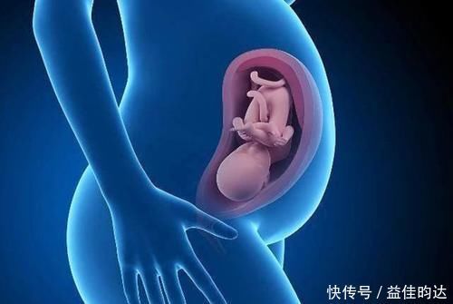 发育|胎儿的大脑发育,在娘胎里就有“高峰期”,孕妈要抓准时间赶紧补
