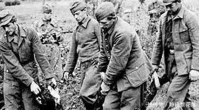 二战|为什么二战中投降的300万苏联士兵战后不愿回国真相让人心酸