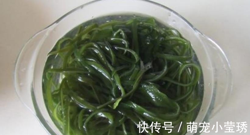 凉拌菜|海带和它是天敌,万不可放一起,很多人不知道,回去告诉家人