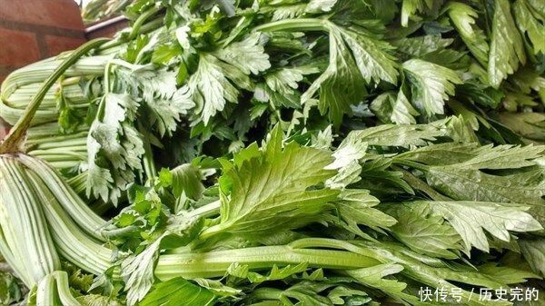 想长寿全靠吃,3种食物不能少,补充营养,身体棒棒哒