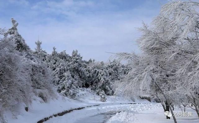 雪后王莽岭，美得不要不要的！