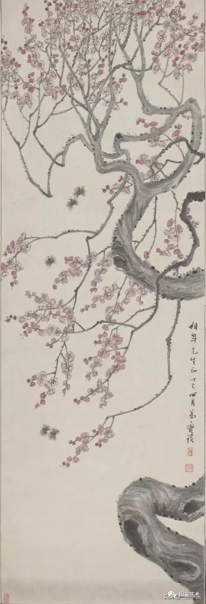 白石老人|赋梅兰竹菊松以新意——齐白石笔下的梅兰竹菊松