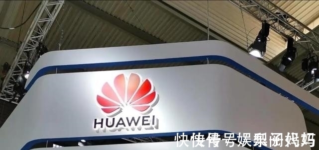 苏菁|任正非含泪出手,亲自免去苏菁部长职务,可惜了华为的一员大将