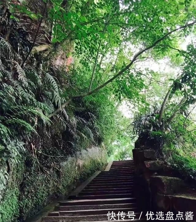 歌单|打卡各个年代歌单，快来看看哪一首和夏天更配呢