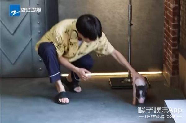 它逃,他追,它…跑的更飞?