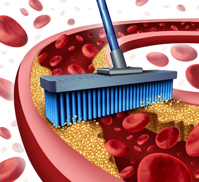 心脑血管|血管堵了,长期吃三七粉和丹参可以吗通血管哪种更好